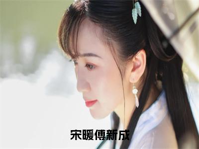 宋暖傅新成（宋暖傅新成全章节完整版）免费阅读_宋暖傅新成（宋暖傅新成）最新章节列表笔趣阁